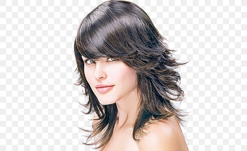 Hair Face Hairstyle Chin Layered Hair, PNG, 500x500px, Hair, Bangs, Black Hair, Brown Hair, Chin Download Free
