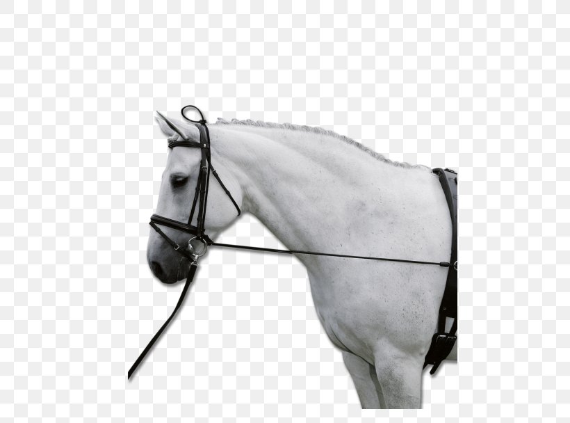 Horse Tack Chambon Rein Longeing, PNG, 497x608px, Horse, Black And White, Bridle, Chambon, Equestrian Download Free