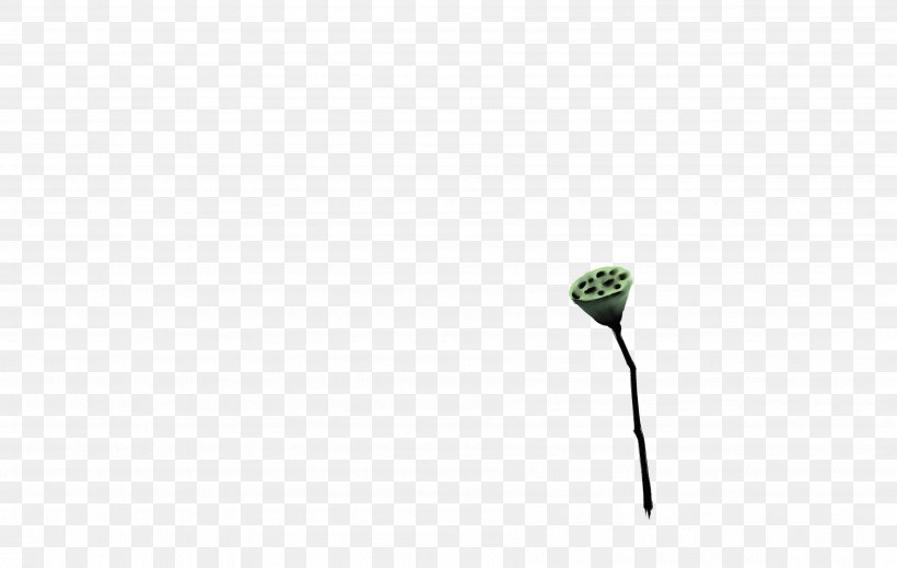 Leaf Plant Stem Twig Flower Close-up, PNG, 3594x2279px, Leaf, Close Up, Closeup, Flora, Flower Download Free