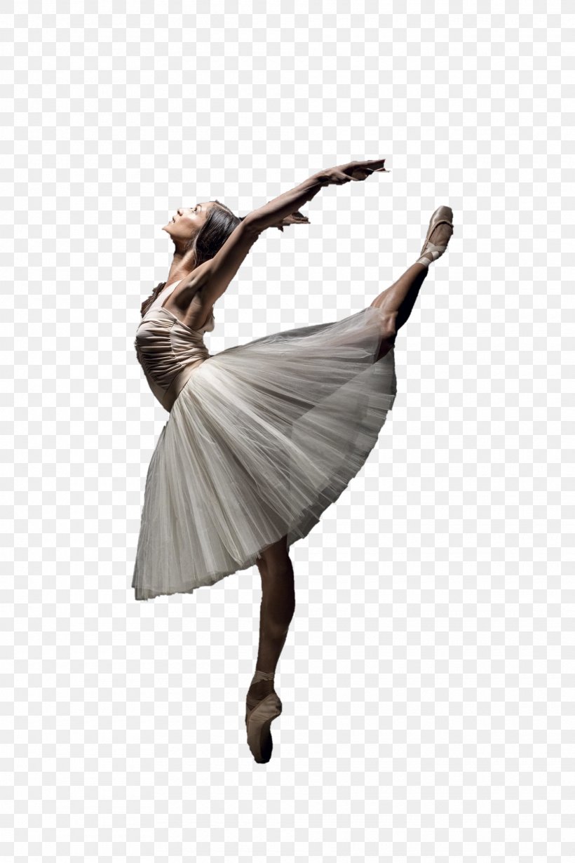Ballet Dancer Dancer Athletic Dance Move Ballet Footwear, PNG, 1920x2880px, Ballet Dancer, Athletic Dance Move, Ballet, Ballet Flat, Choreography Download Free