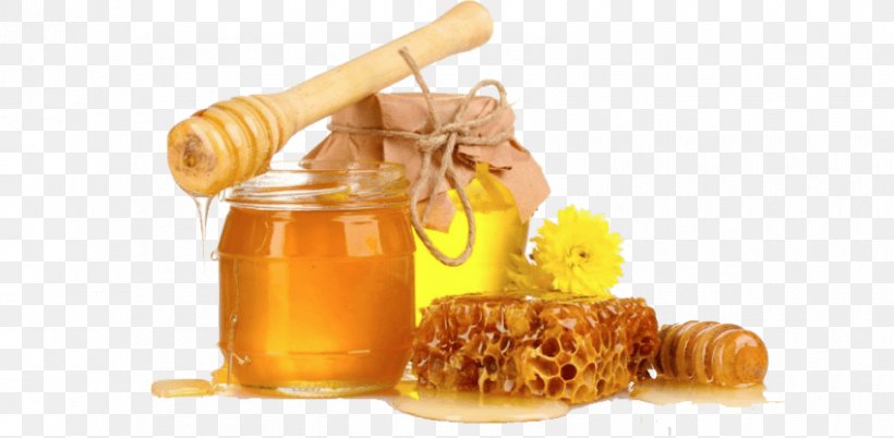 Honey Tavazo, PNG, 850x417px, Honey, Food, Health, Honey Bee, Information Download Free