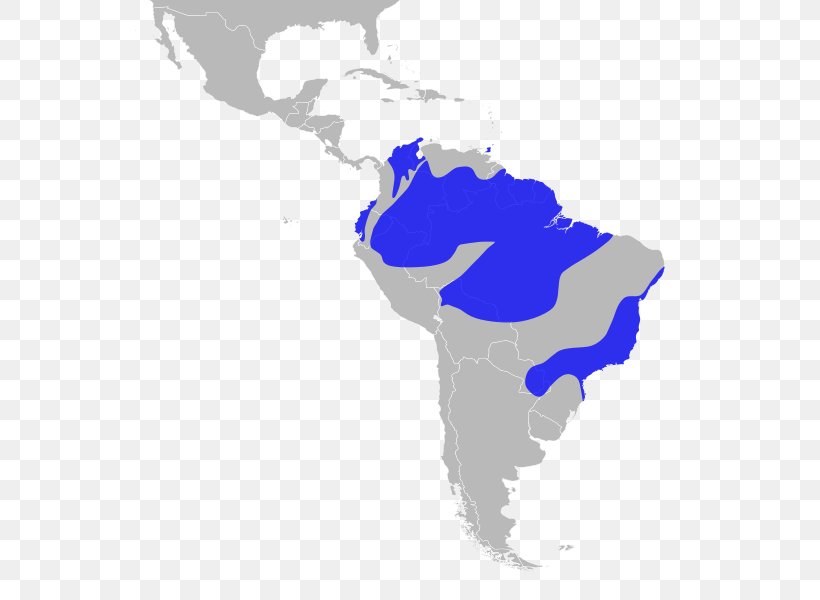 Latin America South America United States Caribbean Map, PNG, 555x600px, Latin America, Americas, Blue, Caribbean, Country Download Free