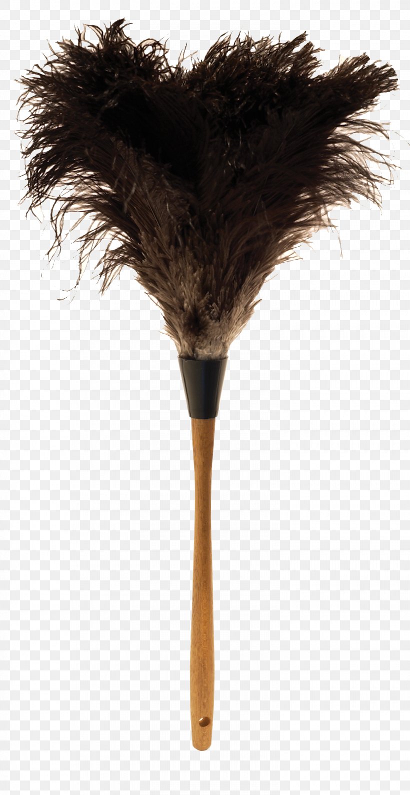 Feather Duster Common Ostrich, PNG, 1500x2908px, Feather Duster, Cleaning, Common Ostrich, Dust, Feather Download Free