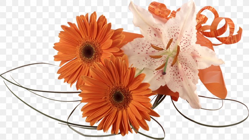 Flower Bouquet Cut Flowers Floral Design, PNG, 1200x675px, Flower, Blume, Cut Flowers, Daisy Family, Drawing Download Free
