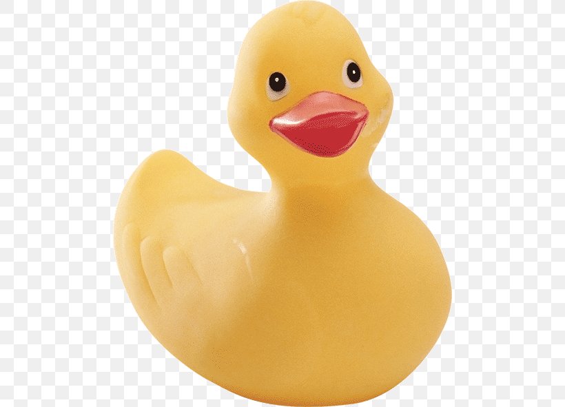 Rubber Duck Natural Rubber Polymer Hoots The Owl, PNG, 492x591px, Duck, Anatidae, Bathtub, Beak, Bird Download Free