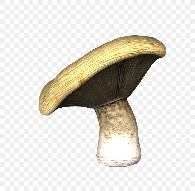 Agaricaceae, PNG, 633x800px, Agaricaceae, Table Download Free