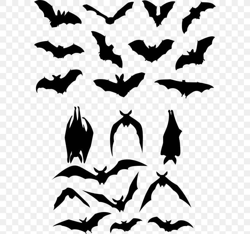 Bat Silhouette, PNG, 597x769px, Bat, Beak, Bird, Black And White, Branch Download Free