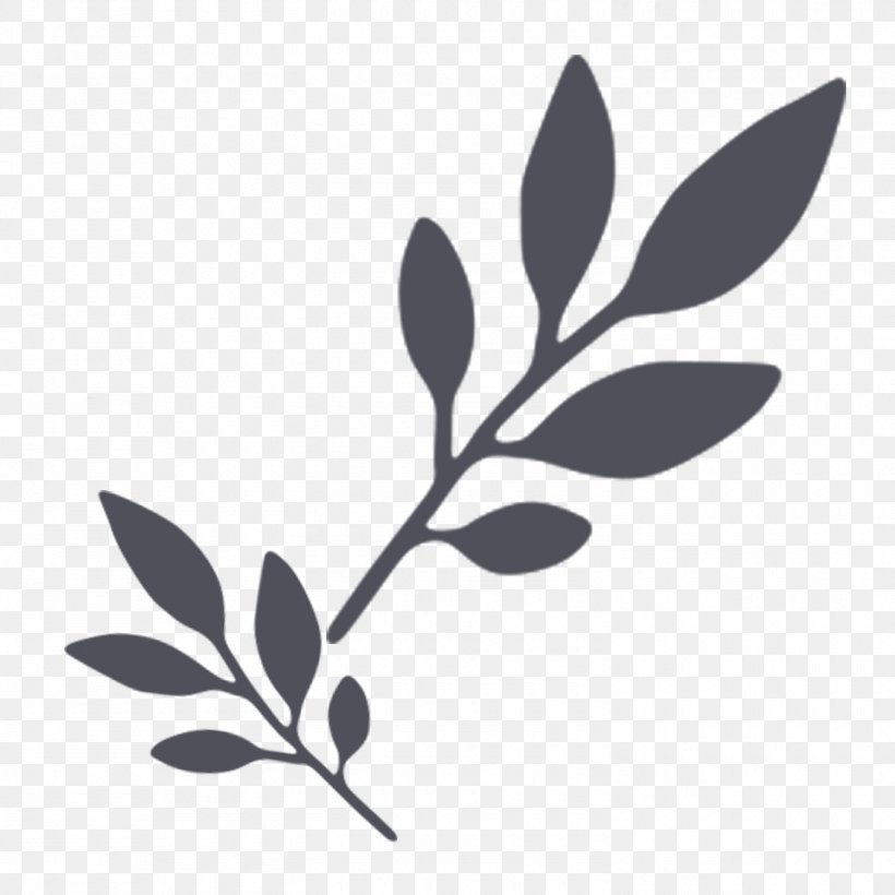 Desktop Wallpaper, PNG, 1500x1500px, Herb, Black And White, Branch, Flora, Leaf Download Free