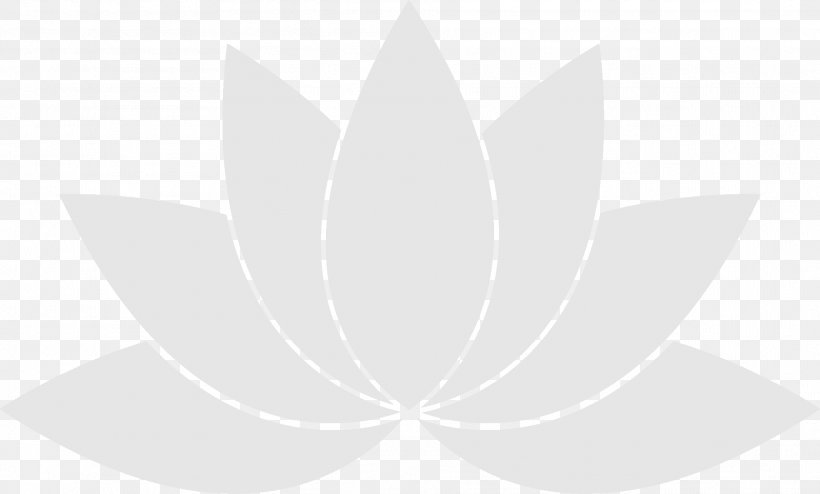 Leaf Desktop Wallpaper, PNG, 1919x1157px, Leaf, Black And White, Computer, Design M, Petal Download Free