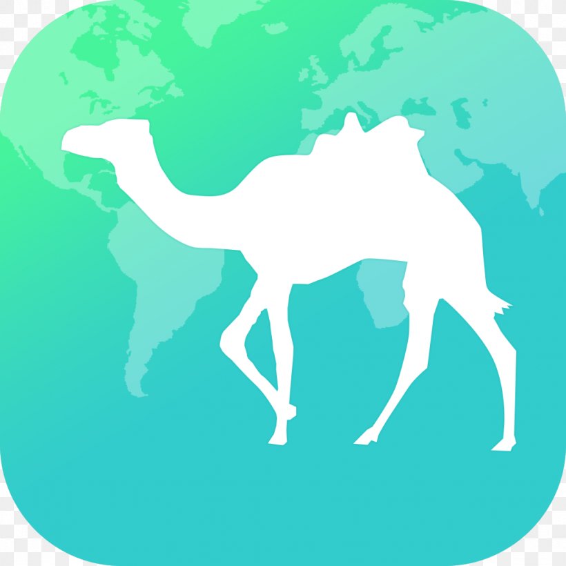 Qunar Travel Tourism Mobile App Train, PNG, 1024x1024px, Qunar, Airline Ticket, Android, App Store, Arabian Camel Download Free