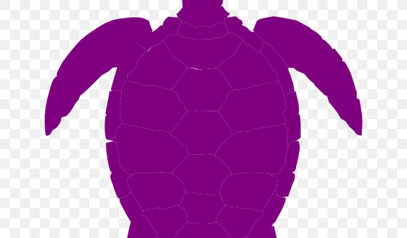 Sea Turtle Clip Art Reptile Sea Creatures, PNG, 640x480px, Turtle, Drawing, Fictional Character, Green Sea Turtle, Magenta Download Free