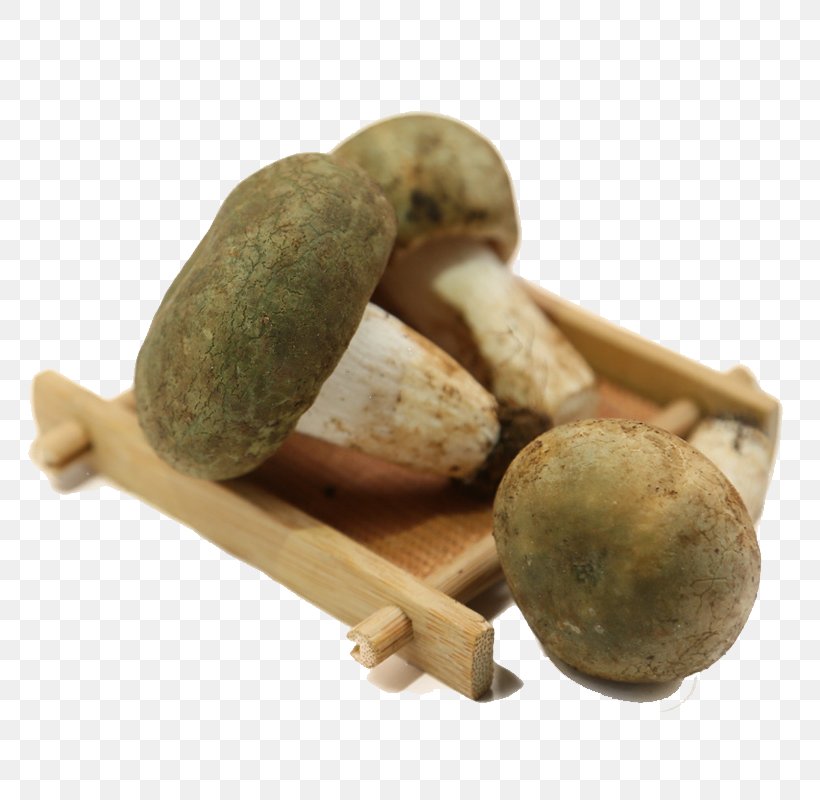 Shiitake Mushroom Food, PNG, 800x800px, Shiitake, Animal Sauvage, Candy, Cosmetics, Edible Mushroom Download Free