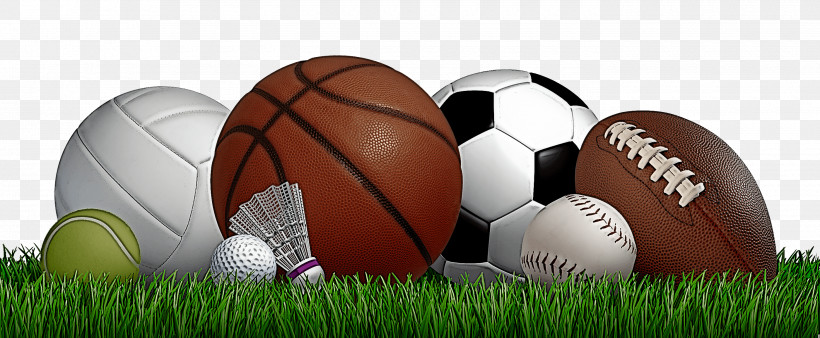 Soccer Ball, PNG, 2800x1156px, Soccer Ball, Ball, Ball Game, Football, Grass Download Free