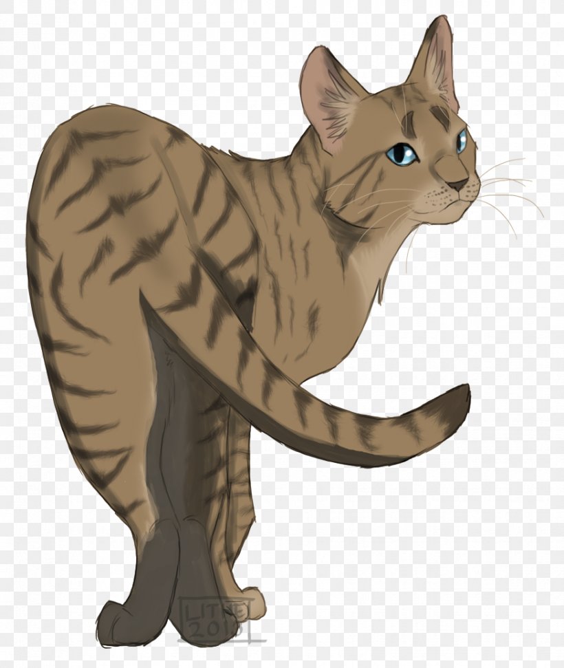 The Rise Of Scourge Warriors Littlecloud Erin Hunter Cinderpelt, PNG, 874x1036px, Rise Of Scourge, Asian, California Spangled, Carnivoran, Cat Download Free