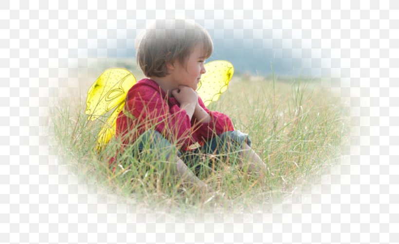 Toddler, PNG, 756x503px, Toddler, Child, Grass, Plant, Play Download Free