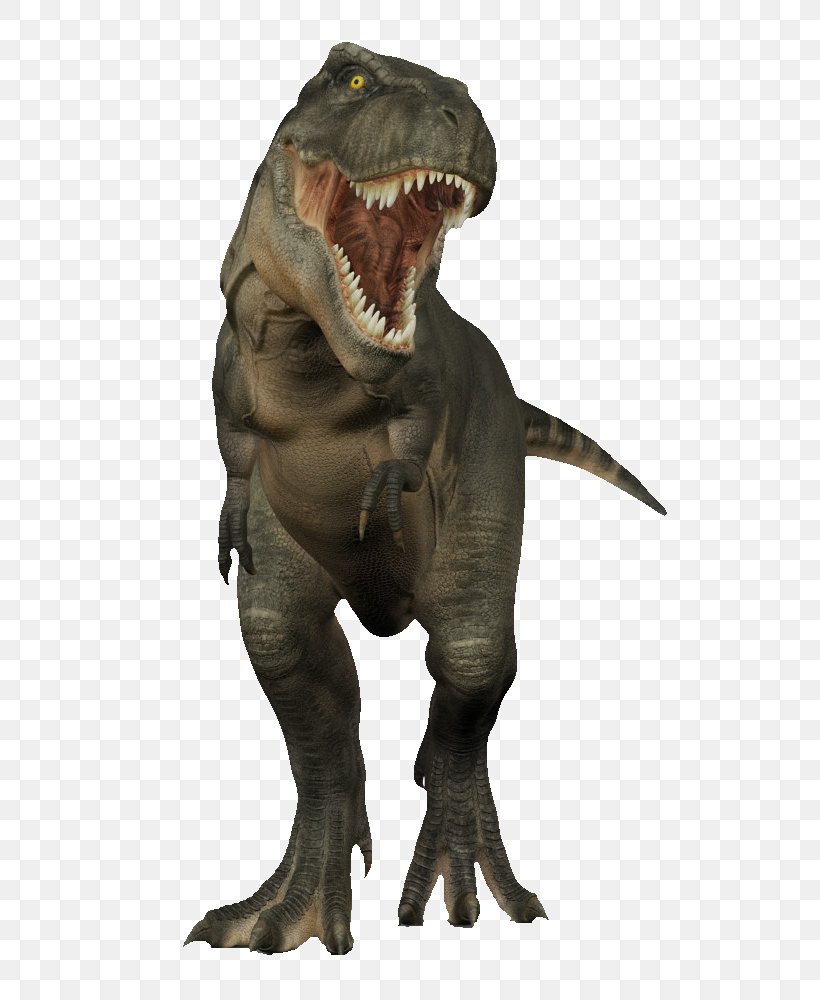 Tyrannosaurus Rex Dinosaur 3D Modeling 3D Computer Graphics, PNG, 755x1000px, 3d Computer Graphics, 3d Modeling, Tyrannosaurus Rex, Animal, Animation Download Free