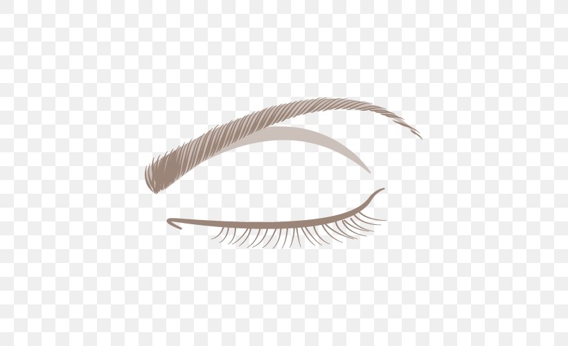 Eyebrow Eyelash Feather, PNG, 500x500px, Eyebrow, Eyelash, Feather Download Free