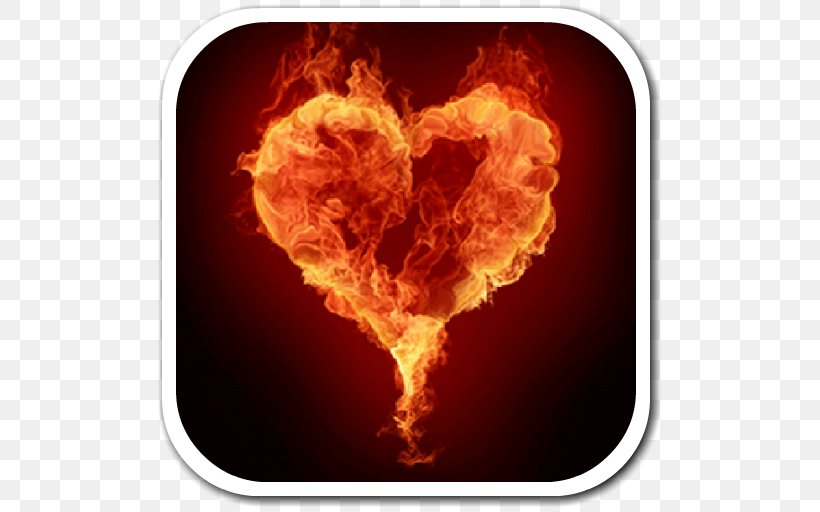 Fire Flame Heart Light Desktop Wallpaper, PNG, 512x512px, Fire, Combustion, Flame, Heart, Heat Download Free