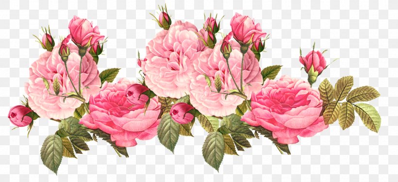 Clip Art Flower Floral Design Image, PNG, 1768x811px, Flower, Botany, Bouquet, Chinese Peony, Common Peony Download Free