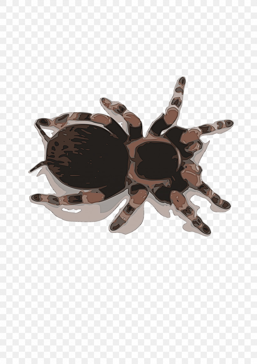 Tarantula Brown Beige Spider Brooch, PNG, 2400x3394px, Tarantula, Beige, Brooch, Brown, Spider Download Free