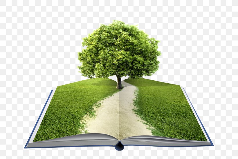 This Book Was A Tree: Ideas, Adventures, And Inspiration For Rediscovering The Natural World Stock Photography Royalty-free Shutterstock, PNG, 656x550px, Book, Author, Book Discussion Club, Grass, Library Download Free