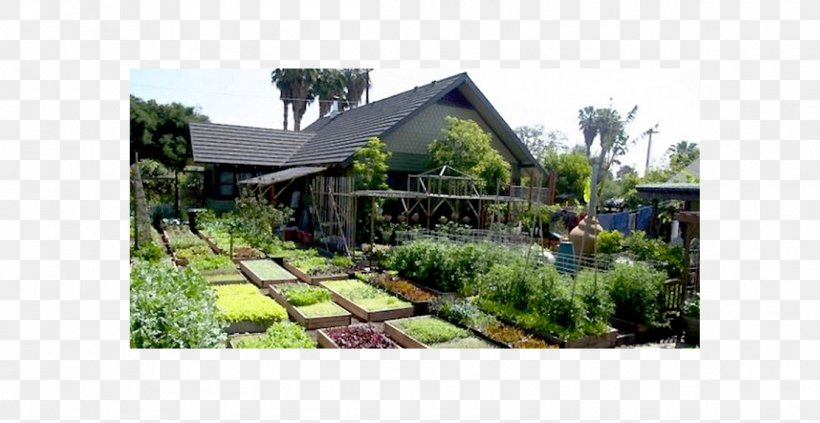 Organic Food Restaurant Garden House, PNG, 1112x574px, Organic Food, Cooking, Cottage, Eating, Estate Download Free