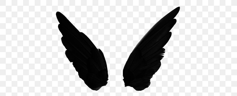 Wing Transparency And Translucency, PNG, 500x332px, Wing, Black And White, Contrast, Drawing, Editing Download Free