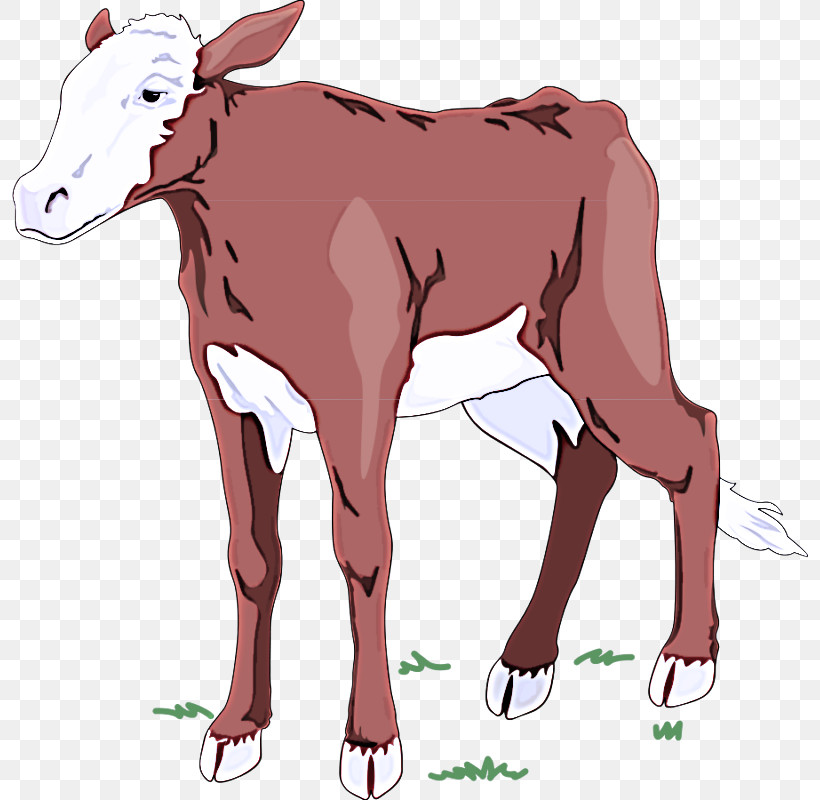 Horse Goat Ox Dairy Cattle Calf, PNG, 797x800px, Horse, Animal Figurine, Calf, Cartoon, Character Download Free