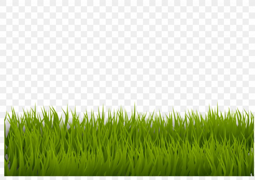 Lawn Desktop Wallpaper Clip Art, PNG, 2400x1697px, Lawn, Commodity, Field, Garden, Grass Download Free