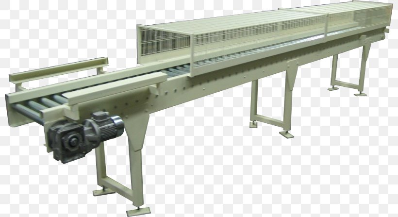 Lineshaft Roller Conveyor Conveyor Belt Conveyor System Rullo Machine Tool, PNG, 800x447px, Lineshaft Roller Conveyor, Automotive Exterior, Belt, Chain, Chain Drive Download Free