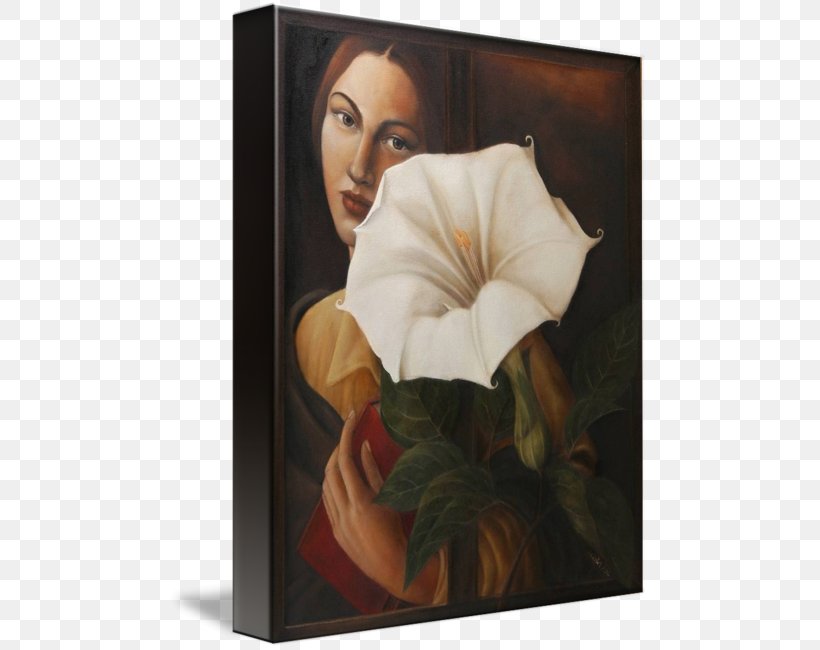 Modern Art Still Life Photography Picture Frames, PNG, 479x650px, Modern Art, Art, Flower, Flowering Plant, Modern Architecture Download Free