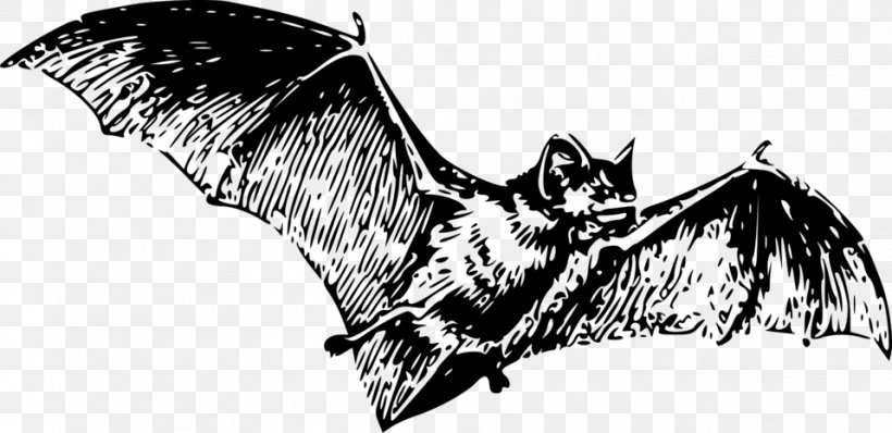 Bat Tattoo Wing, PNG, 958x465px, Bat, Artwork, Beak, Bird, Bird Of Prey Download Free