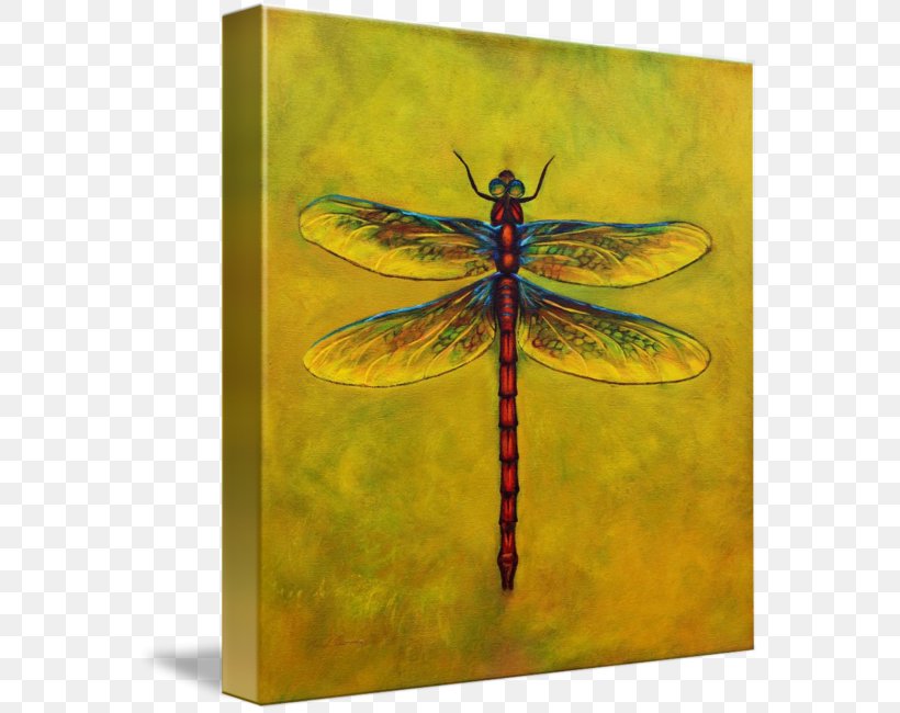 Dragonfly Insect Gallery Wrap Canvas Art, PNG, 568x650px, Dragonfly, Art, Arthropod, Canvas, Dragonflies And Damseflies Download Free