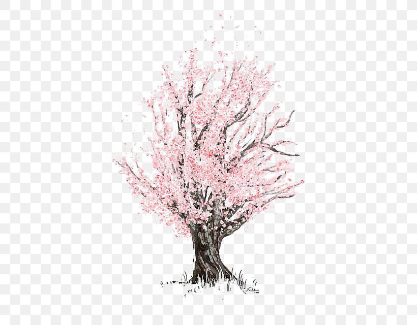 Cherry Blossom Drawing Sketch, PNG, 427x640px, Cherry Blossom, Birch, Blossom, Branch, Cherry Download Free