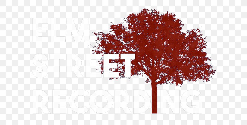 Elm Street Recording Capital City Film Festival East Elm Street, PNG, 640x416px, Capital City Film Festival, Arts, Branch, Lansing, Logo Download Free