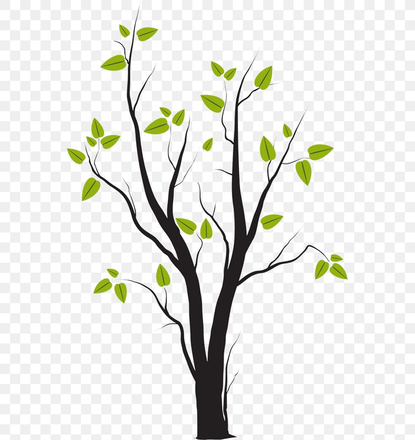 Tree Shrub Wall Decal Clip Art, PNG, 555x871px, Tree, Black And White, Branch, Drawing, Flora Download Free