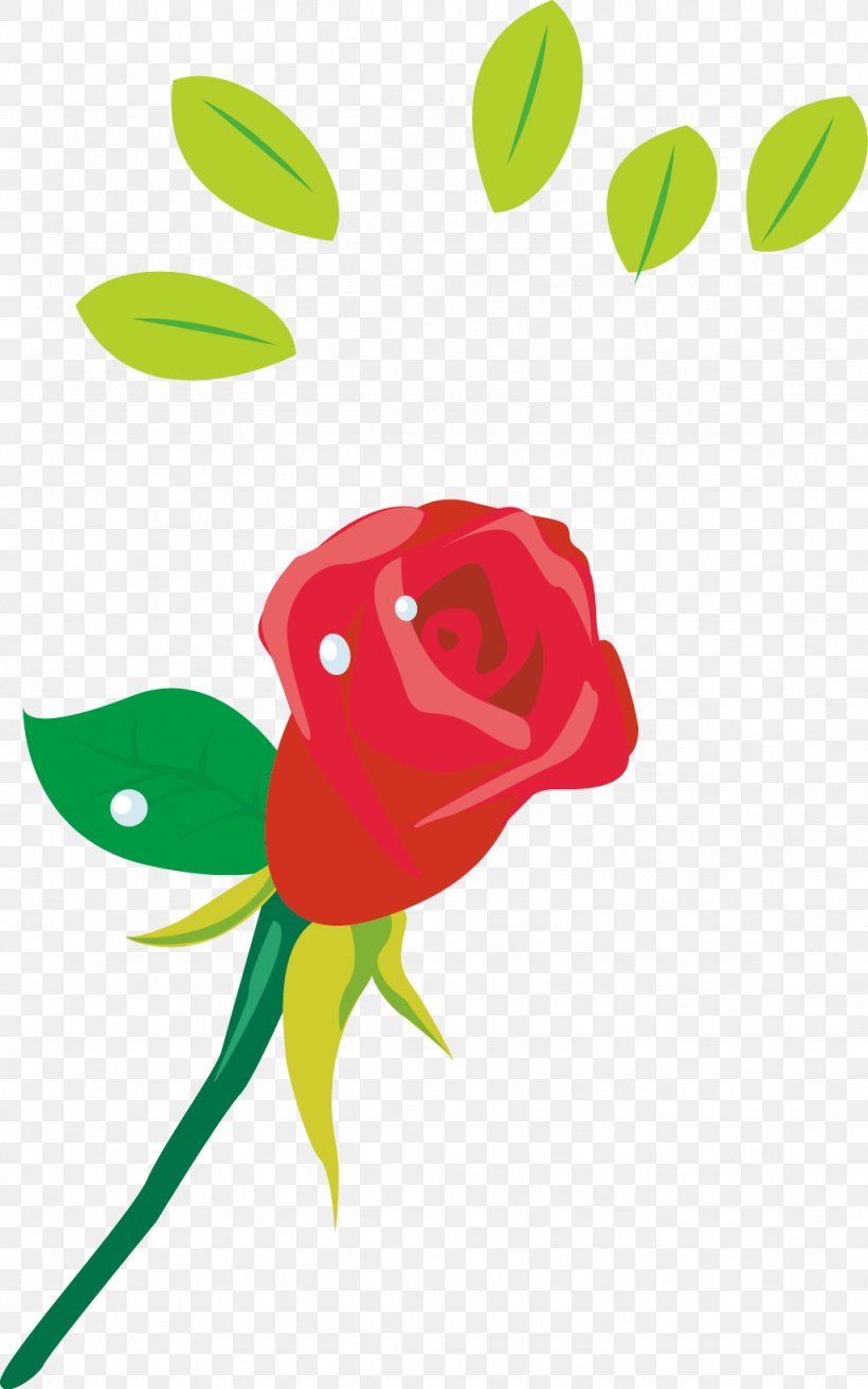 Beach Rose Euclidean Vector Flower Clip Art, PNG, 1024x1640px, Beach Rose, Art, Black Rose, Drawing, Flora Download Free