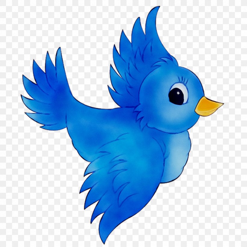 Blue Bird Mobile Homes Inc Feather Beak, PNG, 1080x1080px, Home, Animal Figure, Beak, Bird, Blue Download Free