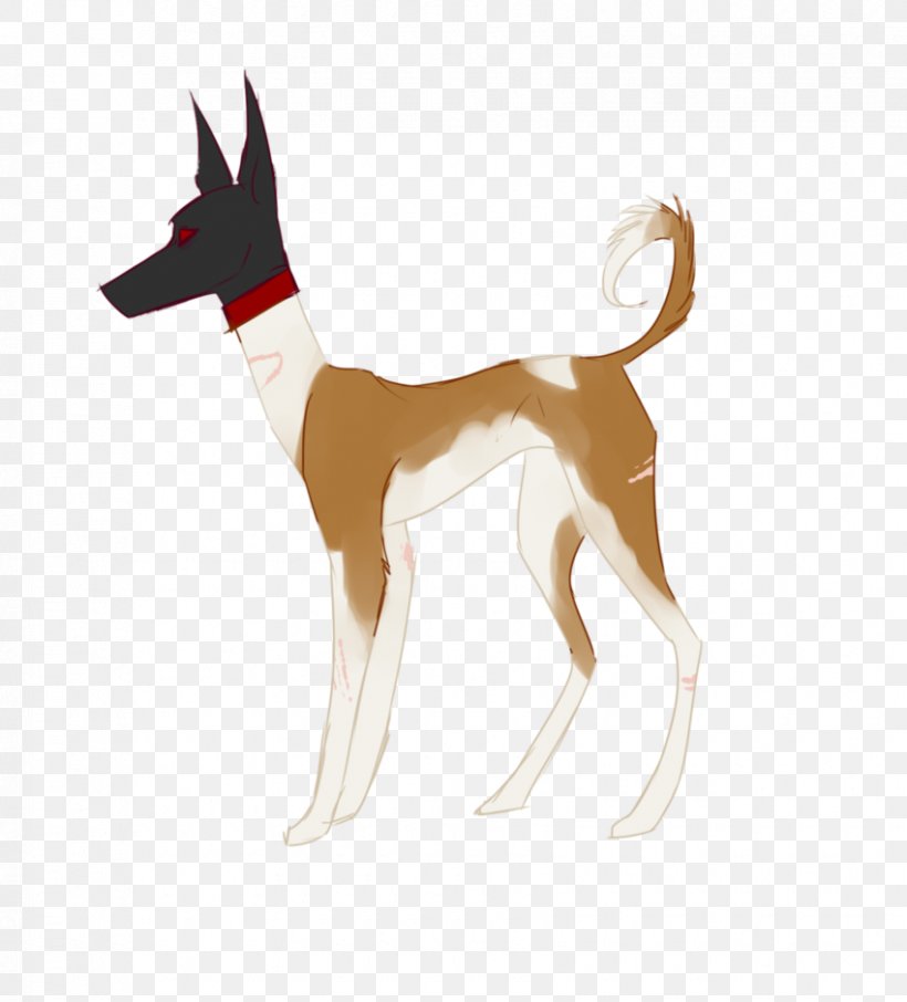 Dog Breed Ibizan Hound Deer, PNG, 850x940px, Dog Breed, Breed, Carnivoran, Deer, Dog Download Free