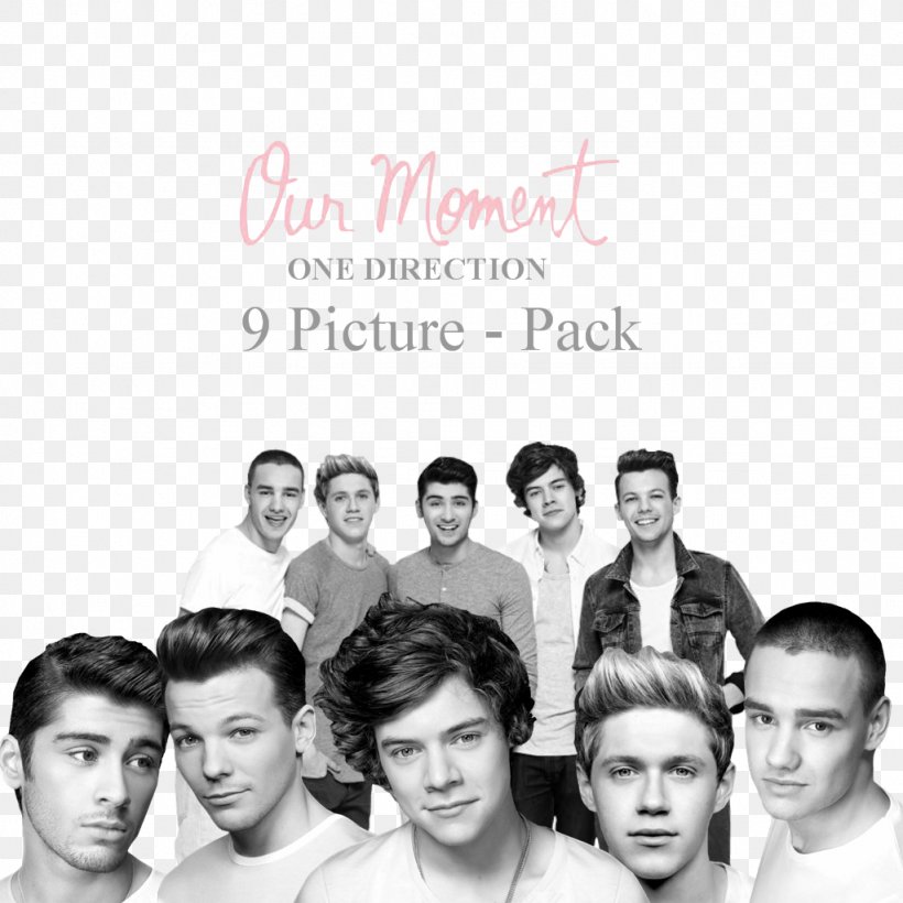 Niall Horan Zayn Malik Liam Payne Harry Styles One Direction, PNG, 1024x1024px, Watercolor, Cartoon, Flower, Frame, Heart Download Free