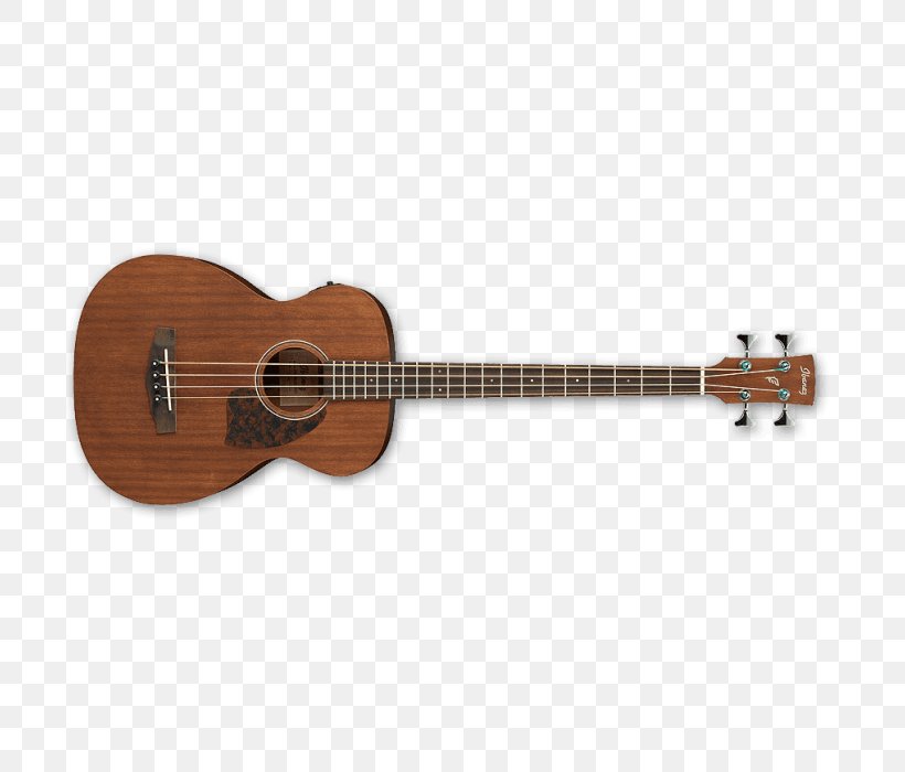 Twelve-string Guitar Acoustic Bass Guitar Acoustic Guitar, PNG, 700x700px, Watercolor, Cartoon, Flower, Frame, Heart Download Free