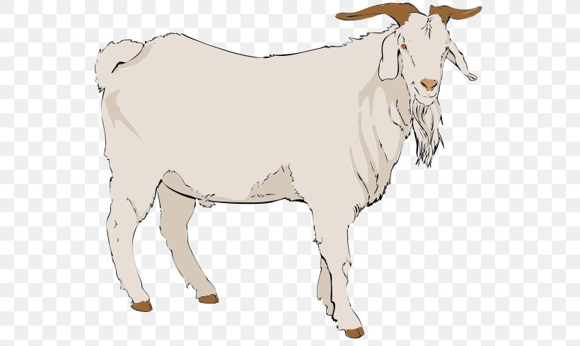Boer Goat Anglo-Nubian Goat Pygmy Goat Nigerian Dwarf Goat Clip Art, PNG, 561x489px, Boer Goat, Anglonubian Goat, Animal Figure, Bull, Cattle Like Mammal Download Free