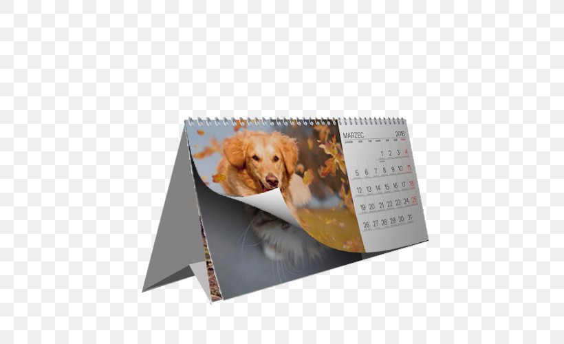 Calendar Date Time Month FOTOCALENDAR.PL, PNG, 500x500px, Calendar, Audi A3, Bertikal, Calendar Date, Desk Download Free