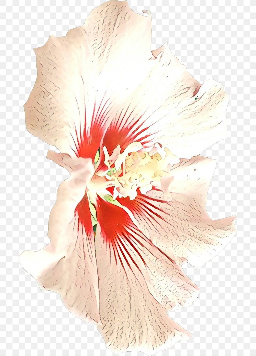 Hibiscus Hawaiian Hibiscus Flower Plant Cut Flowers, PNG, 701x1141px, Cartoon, Cut Flowers, Flower, Flowering Plant, Hawaiian Hibiscus Download Free