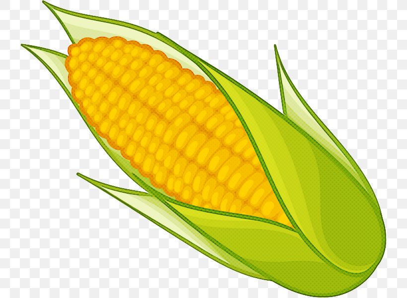 Corn Corn On The Cob Leaf Yellow Sweet Corn, PNG, 738x600px, Corn, Anthurium, Corn Kernels, Corn On The Cob, Leaf Download Free