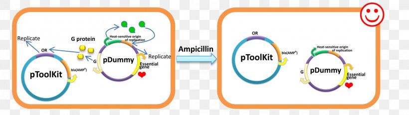 Technology Line Angle, PNG, 2212x625px, Technology, Area, Diagram, Organization, Text Download Free