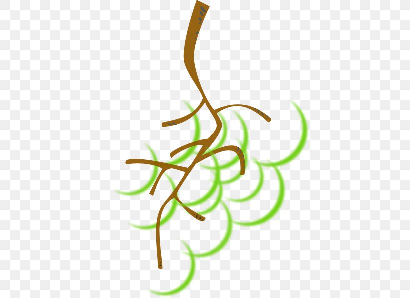 Common Grape Vine Wine Grape Leaves Clip Art, PNG, 420x596px, Common Grape Vine, Artwork, Bottle, Branch, Drawing Download Free