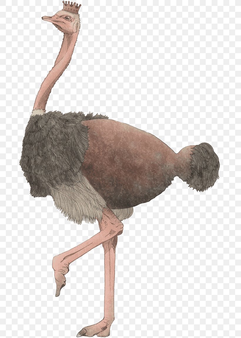 Common Ostrich Career Portfolio Bird, PNG, 690x1146px, Common Ostrich, Beak, Bird, Career Portfolio, Emu Download Free