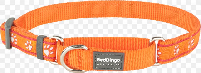 Dog Collar Dingo Martingale, PNG, 3000x1098px, Dog, Buckle, Cat, Choker, Clothing Accessories Download Free