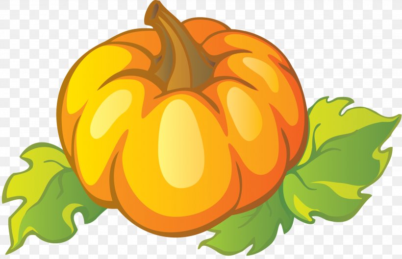 Jack-o'-lantern Pumpkin Calabaza Gourd Clip Art, PNG, 3000x1936px, Jacko Lantern, Calabaza, Cucumber Gourd And Melon Family, Cucurbita, Facebook Download Free